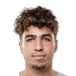 Mihai Lupan