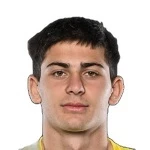 Mate Gagvishvili
