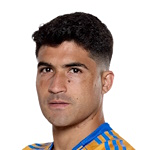 N.Ibañez