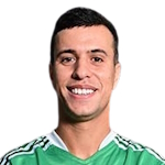 F.E.Henawy